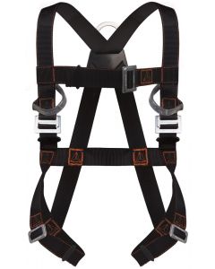 DELTAPLUS HARNESS 2PTS